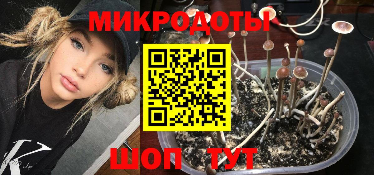 Советск  Галлюциногенные грибы GOLDEN TEACHER  Вход с VPN 