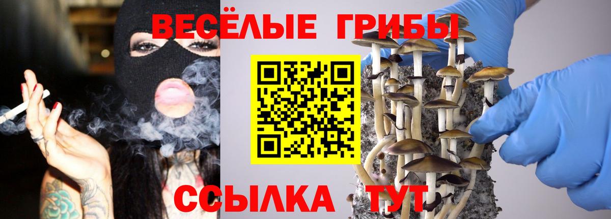 Псилоцибиновые грибы GOLDEN TEACHER Советск